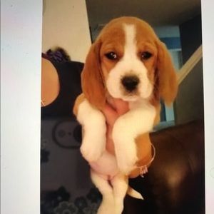 Meet your Posher, Holly